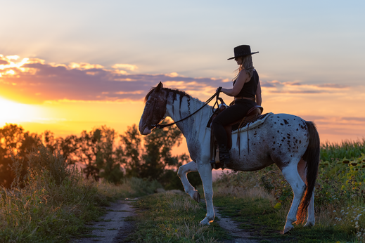 hors sunset